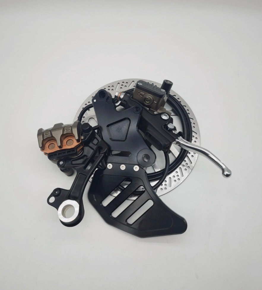 Ultra bee brake kit for Emotos