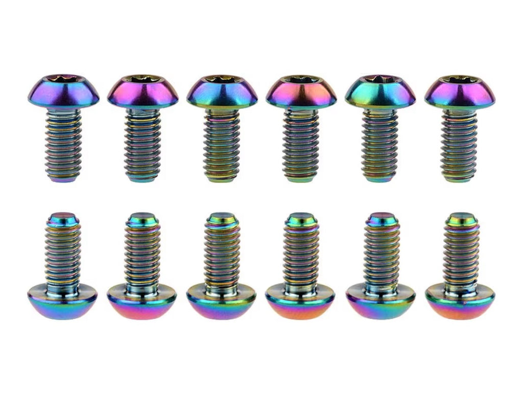 Titanium frame bolts