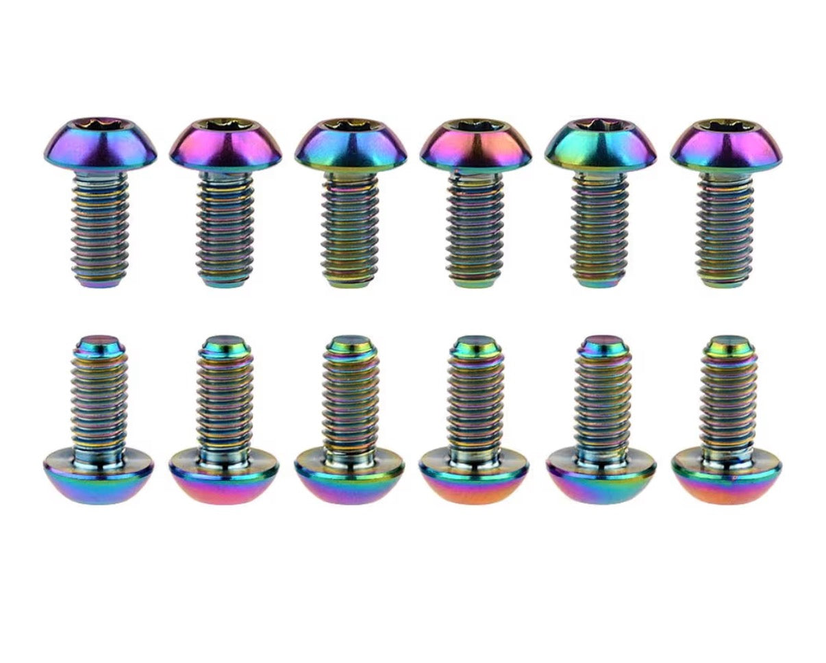 Titanium frame bolts