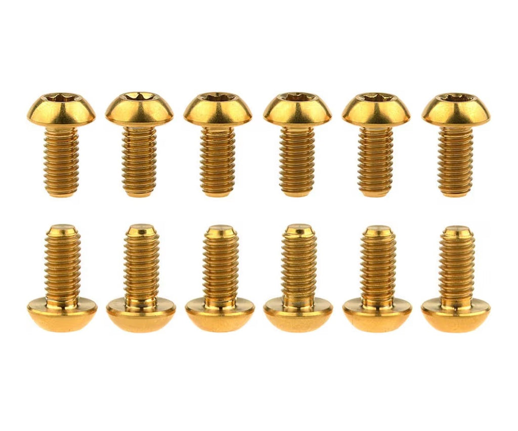 Titanium frame bolts