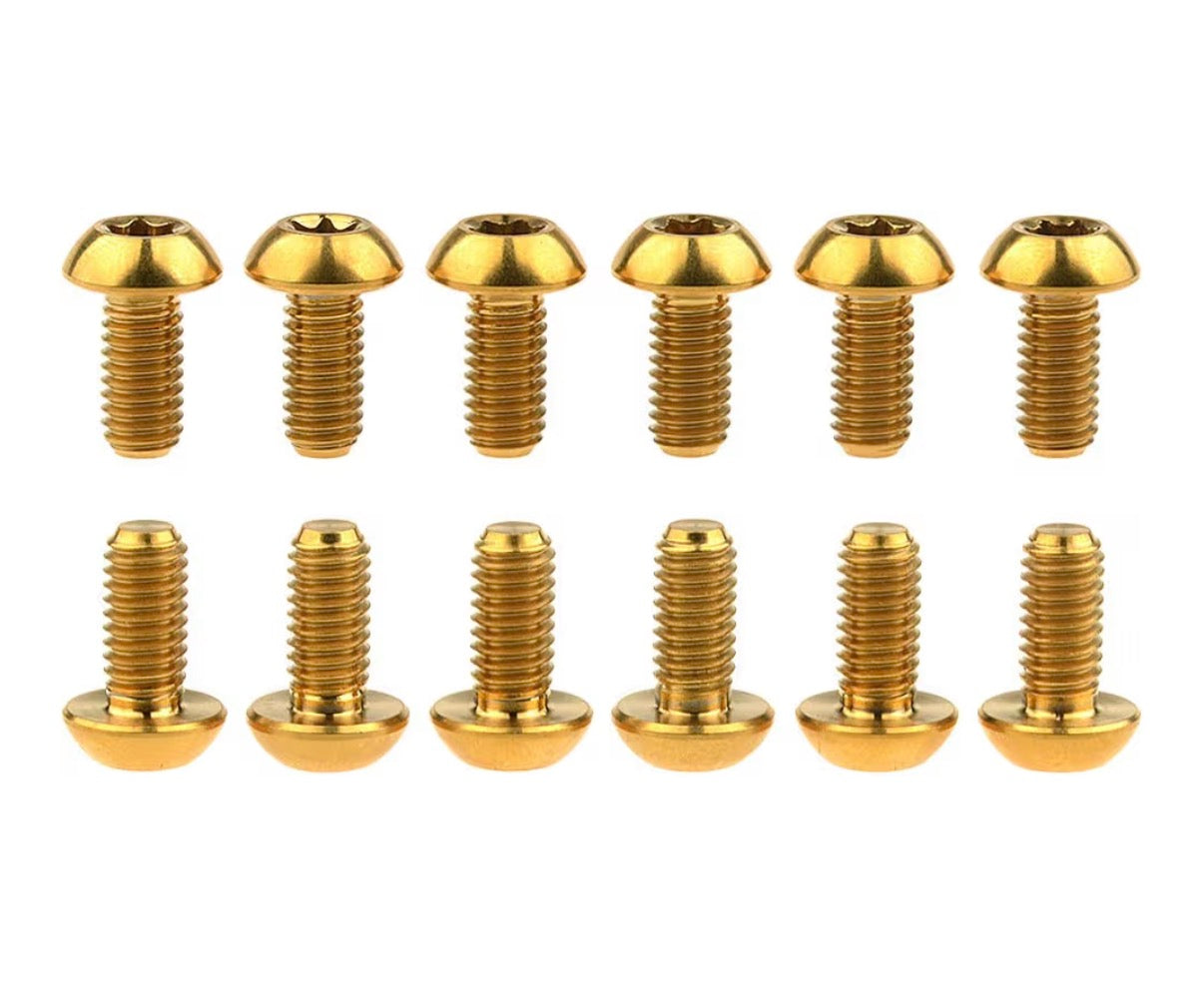 Titanium frame bolts